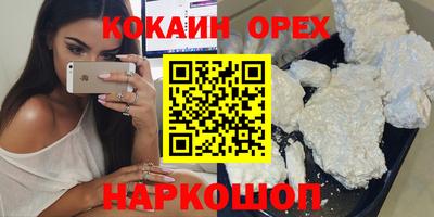 стаф Можга