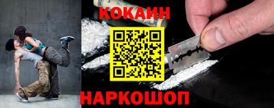 стаф Можга