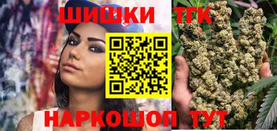 стаф Можга