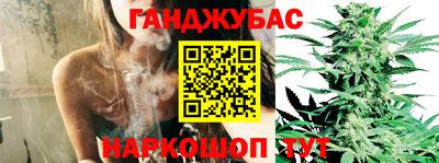 стаф Можга