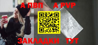 стаф Можга