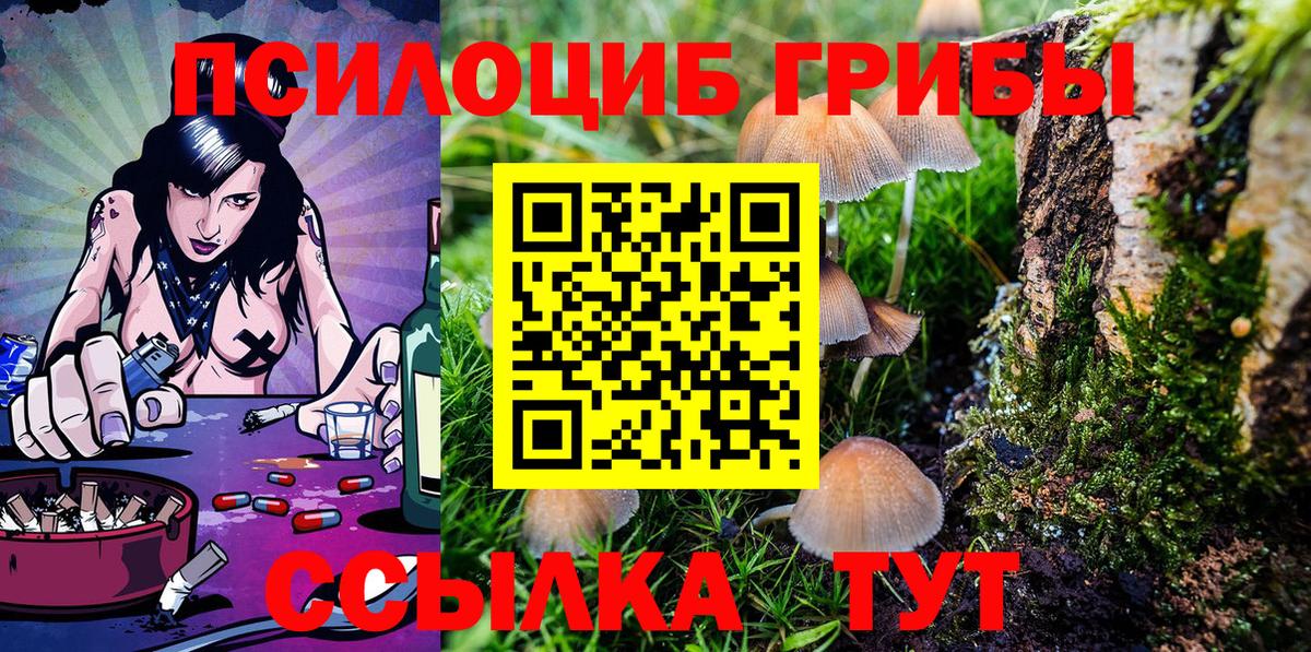 Псилоцибиновые грибы GOLDEN TEACHER  Вход с VPN  Стрежевой 