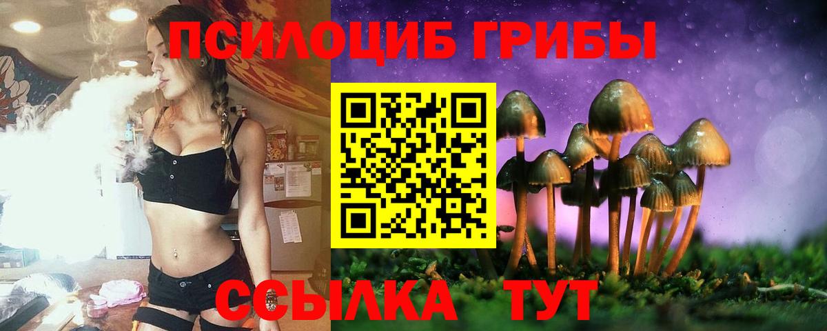 Псилоцибиновые грибы мухоморы Стрежевой